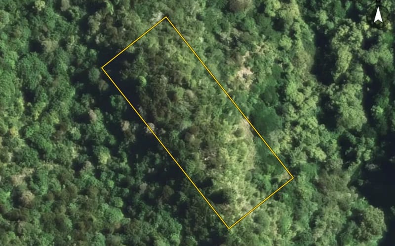 3118A Ruatahuna Road