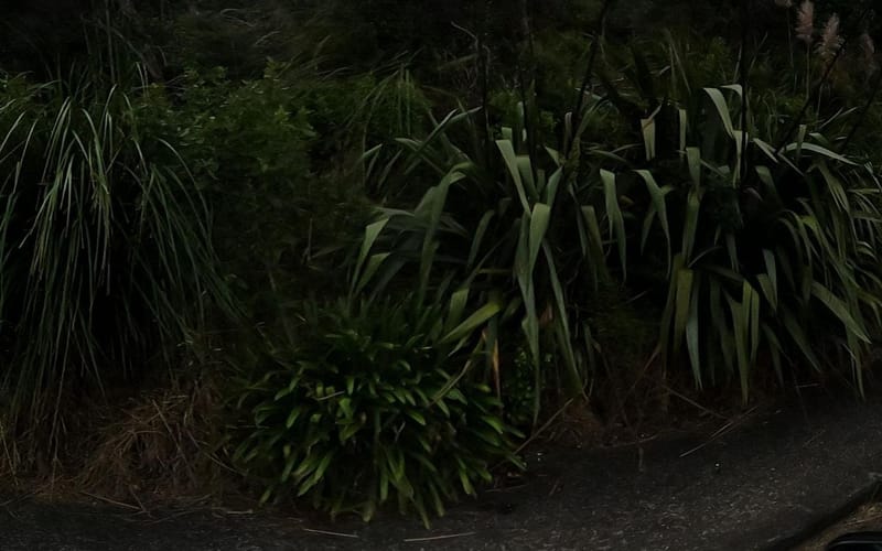 1210 Huia Road