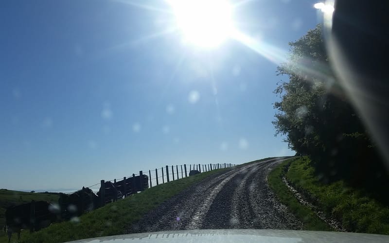 18 McHales Road