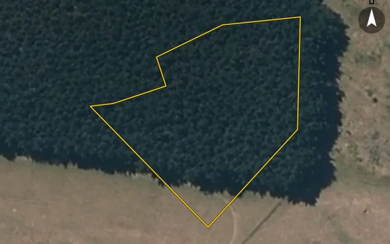 42 Mowhia Grove