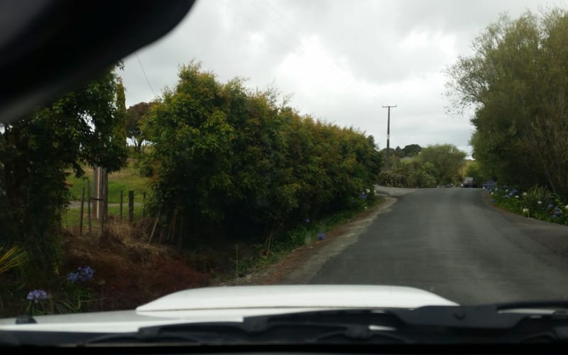 15 Woodland Road