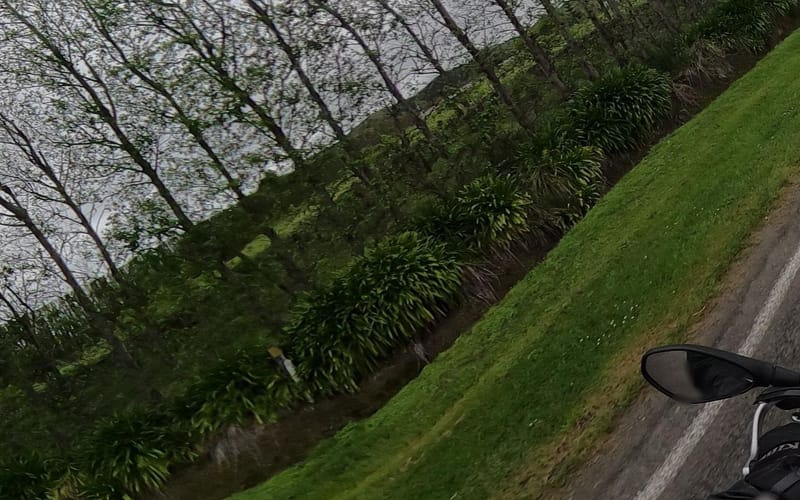 429 Tiniroto Road