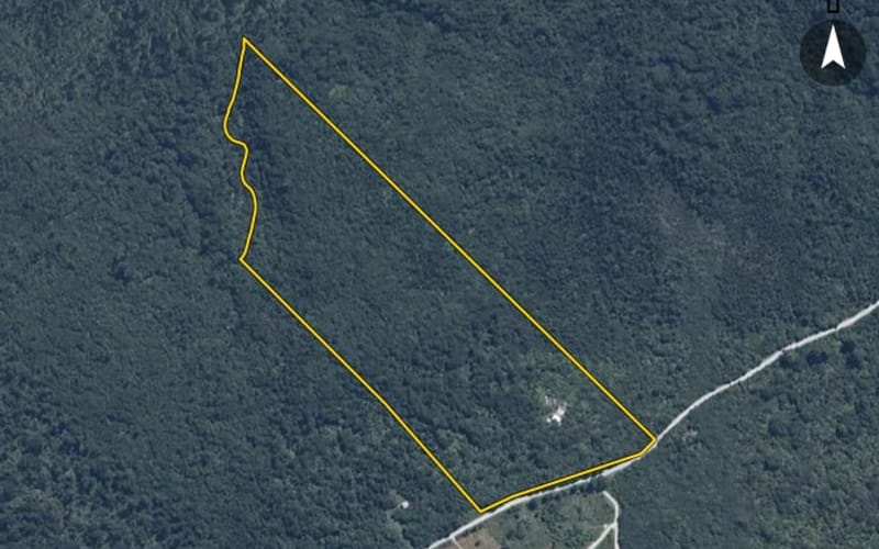 1649 Kumara-Inchbonnie Road