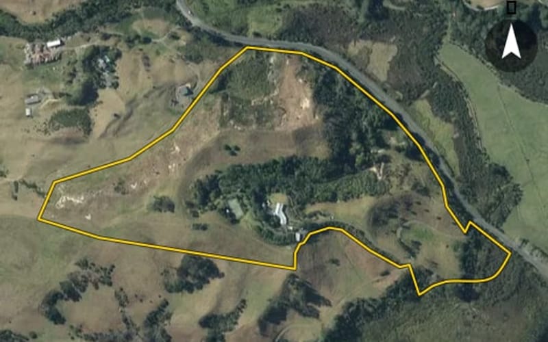 1229 South Head Road