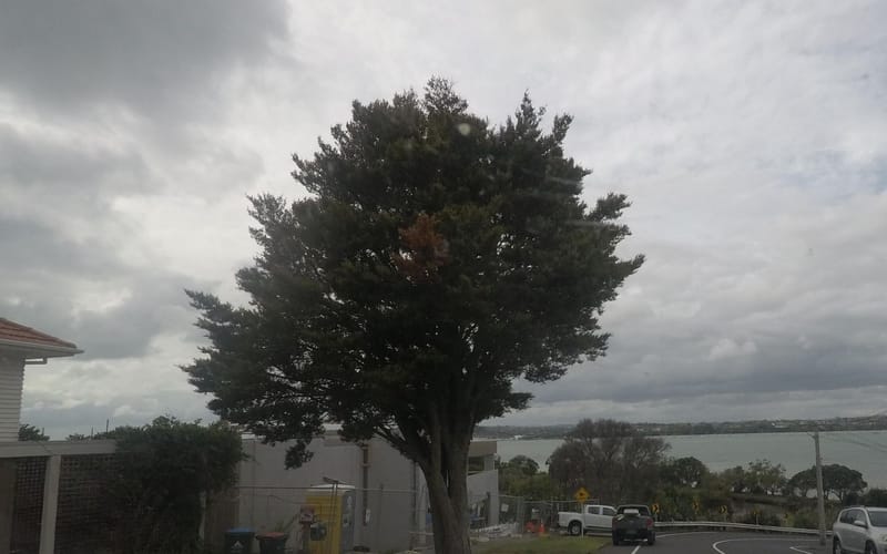 334 West Tamaki Road