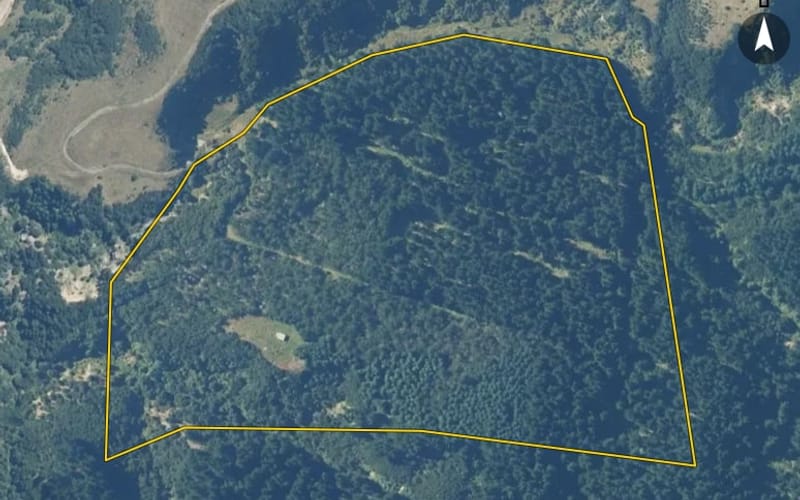 301 Spey Forest Road