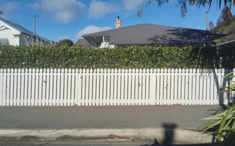 56 Seymour Avenue