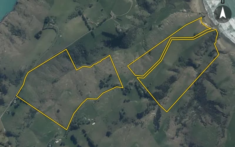 37 McHales Road
