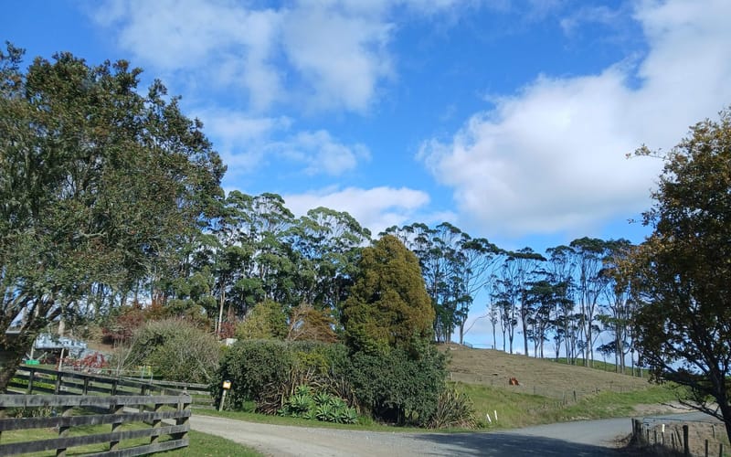79 Taylor Road