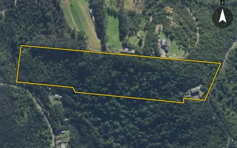 280 Kauri Mountain Road