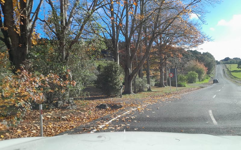 50 Dip Road