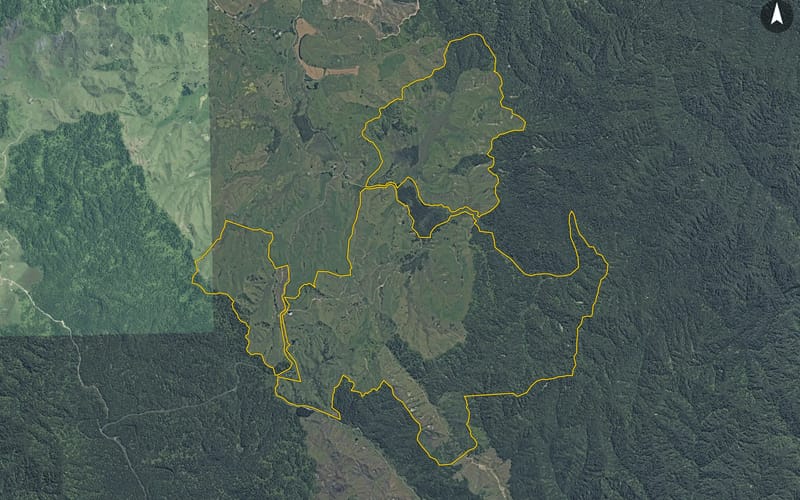 484 Mangapapa Road