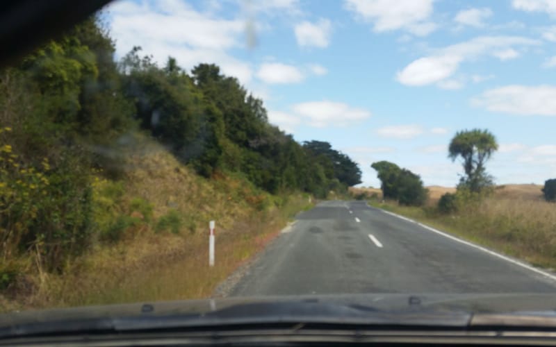 589 Whakapirau Road