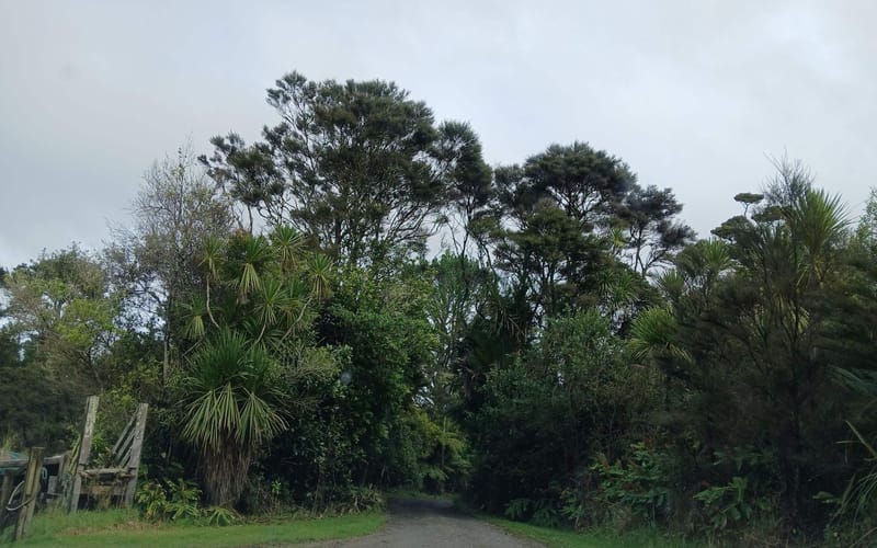 46 The Pines Road