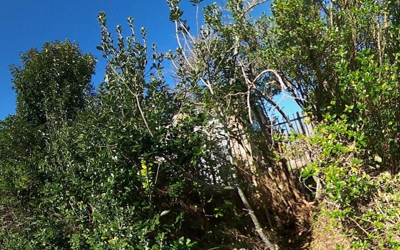 3 Iwinuku Crescent