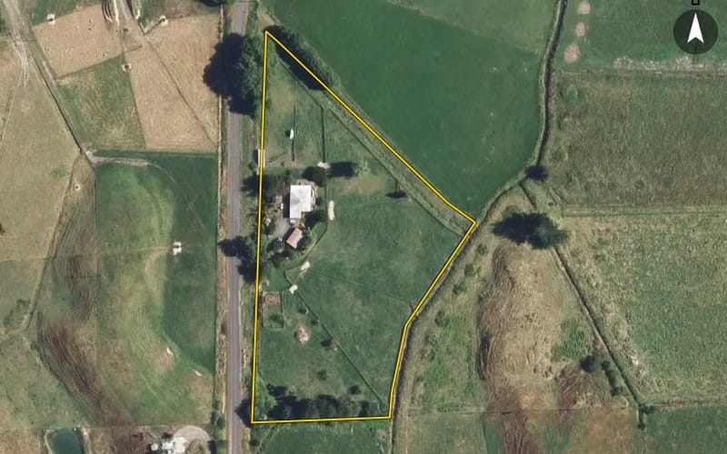 137 Downard Road