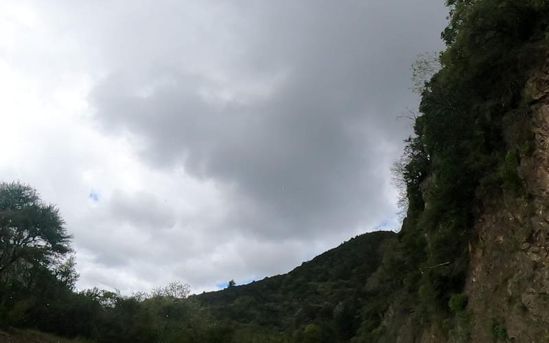 3118 Ruatahuna Road