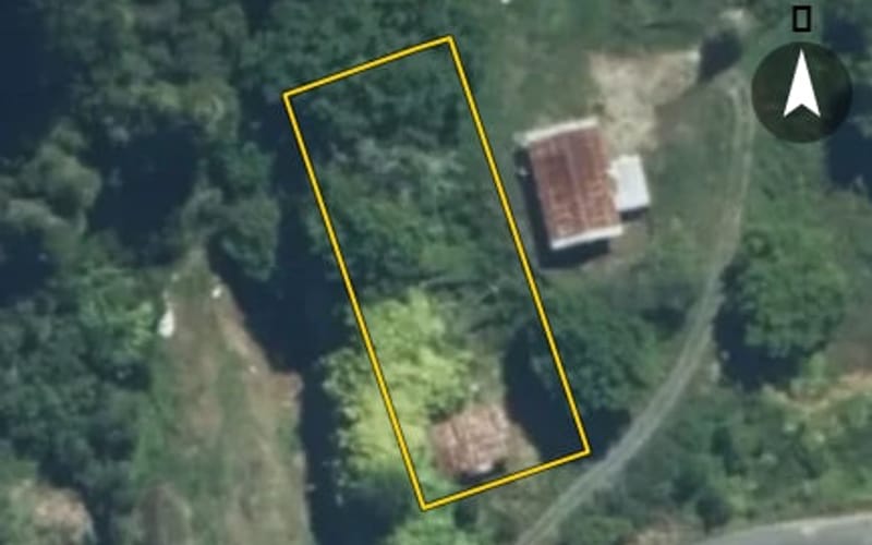 1805 Ongarue-Waimiha Road