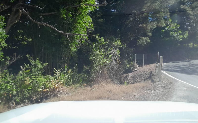 126 Awaroa River Road