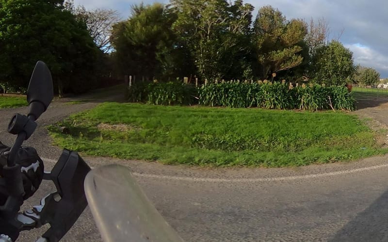 94 Tauwhareparae Road