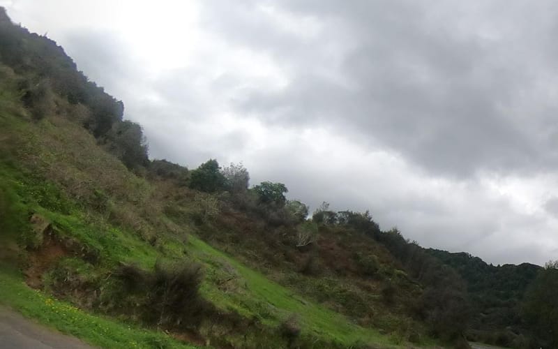 498 Waikaremoana Road