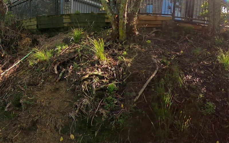 1A Waikowhai Road