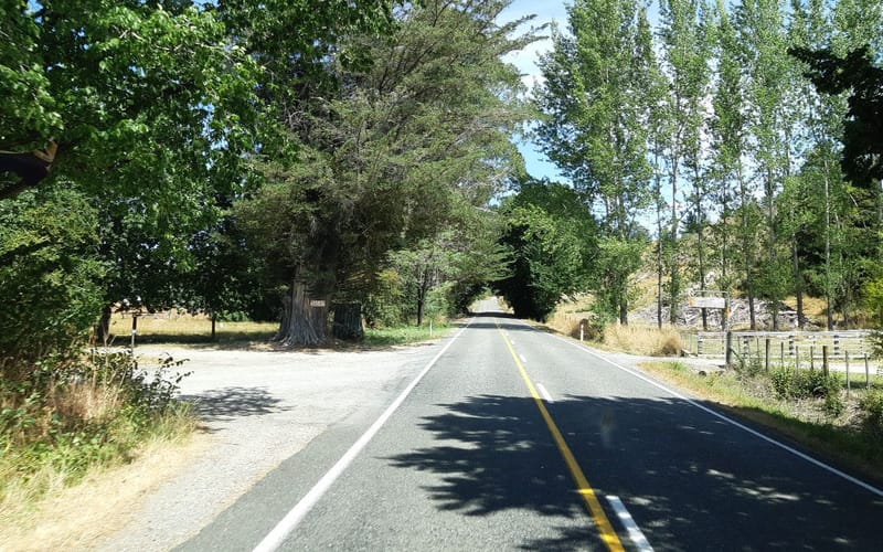 3584 Motueka Valley Highway