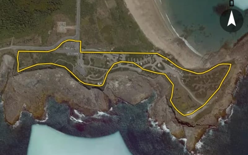 601 Waikawa Curio Bay Road