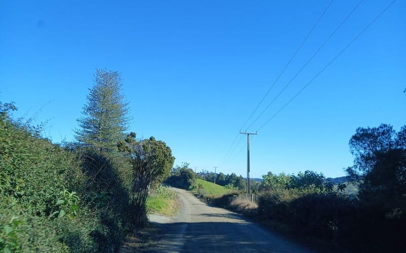 59 Griffin Road