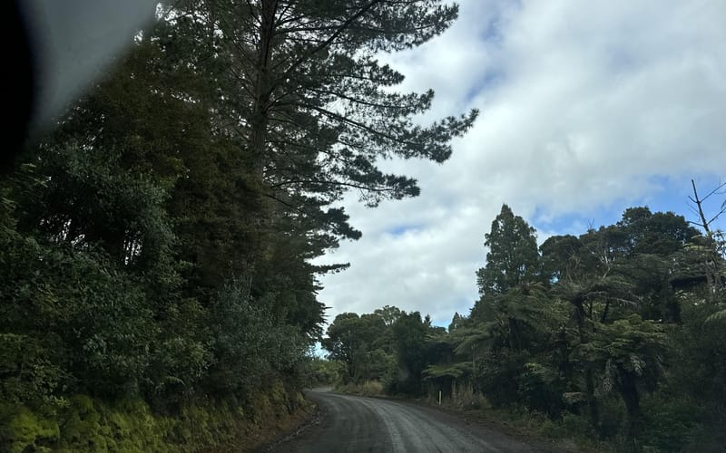 290 Mangatu Road