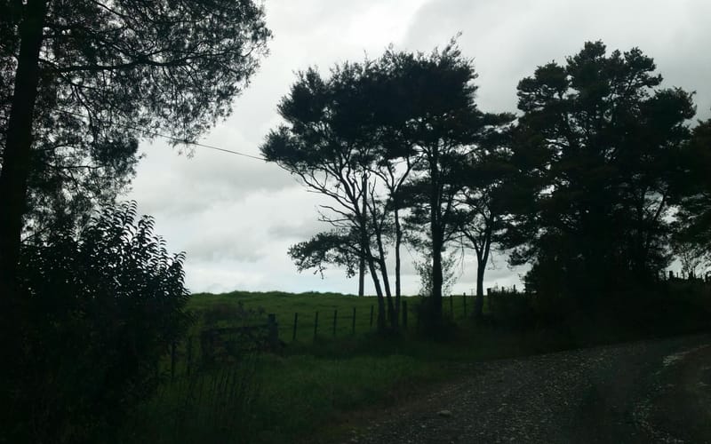 1315 Ararua Road