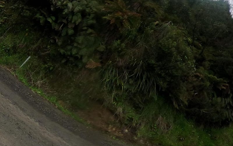 335 Waikaremoana Road
