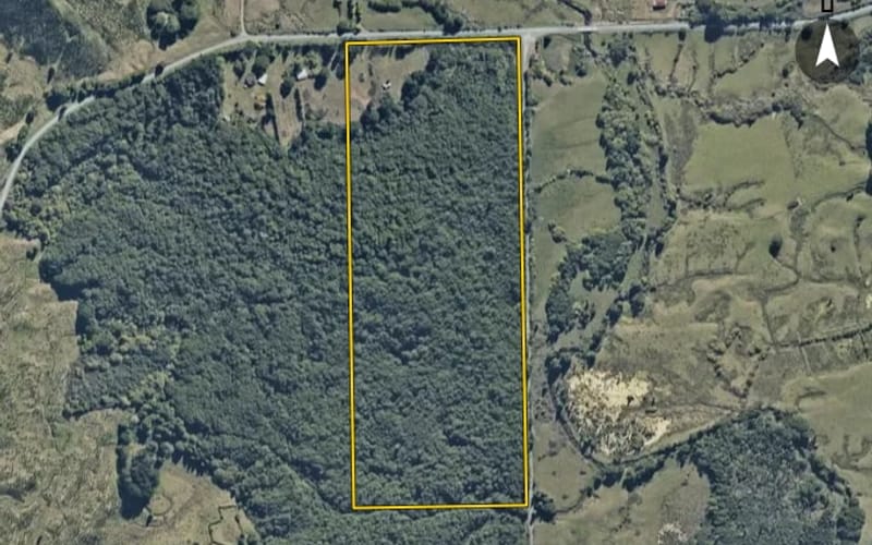 1426 Waitaanga Road