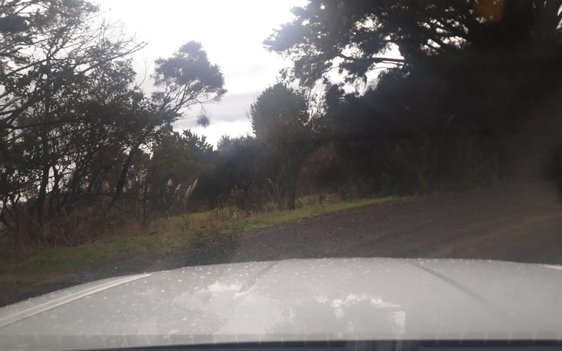 134 Rakautapu Road