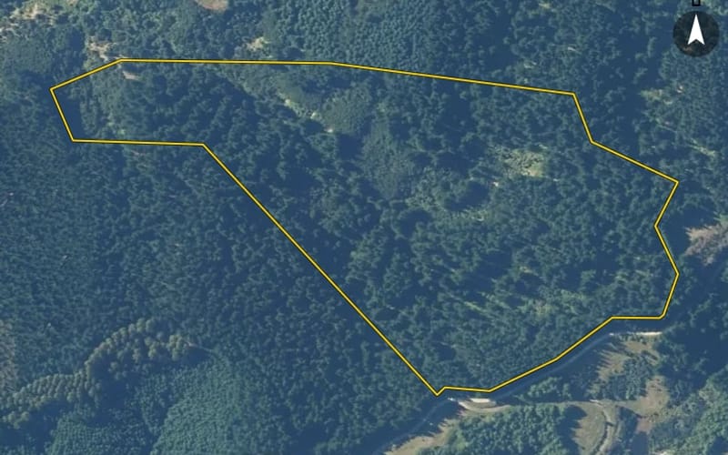 287 Spey Forest Road