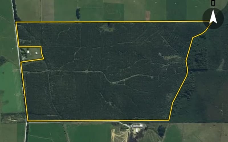 213 Waituna Lagoon Road