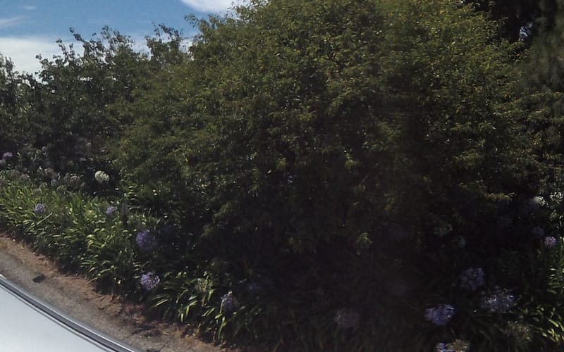 1708 East Coast Road