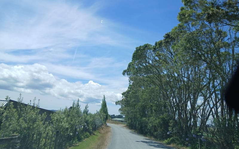31 Russek Road