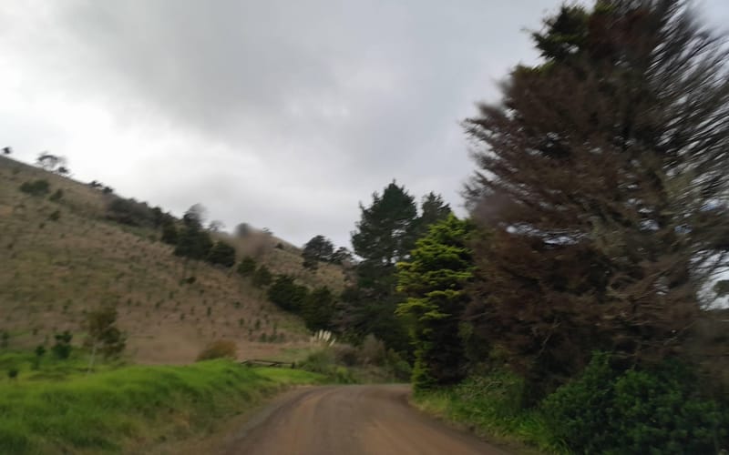 1987 Omana Road
