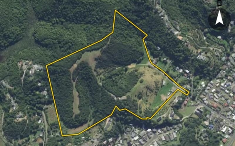 33 Kakariki Road
