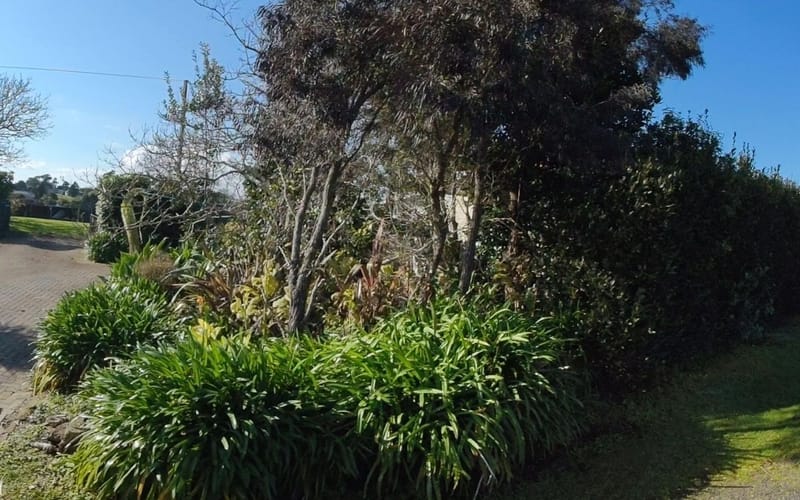 131A Retemeyer Road