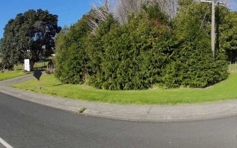 469 Waiwera Street