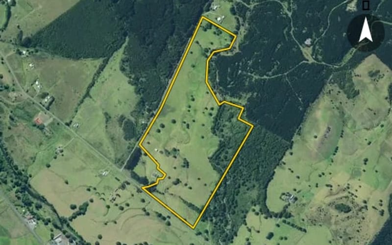 243 Kaihu Wood Road