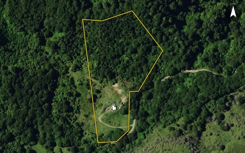 826 Moanui Road