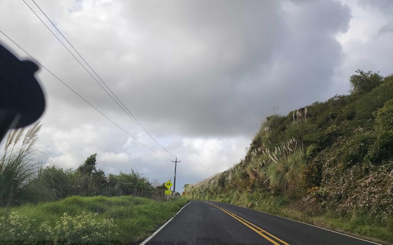 1355 Tuakau Bridge-Port Waikato Road