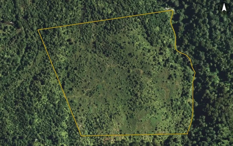 826L Minginui Road