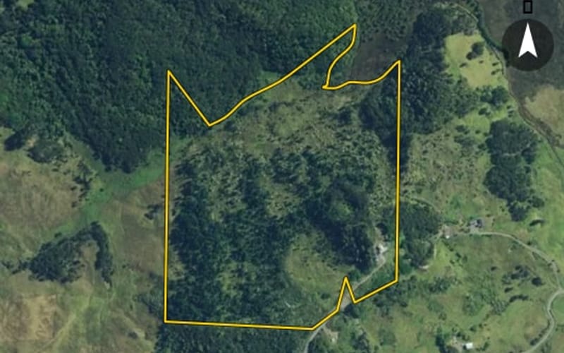 86 Koutu Loop Road