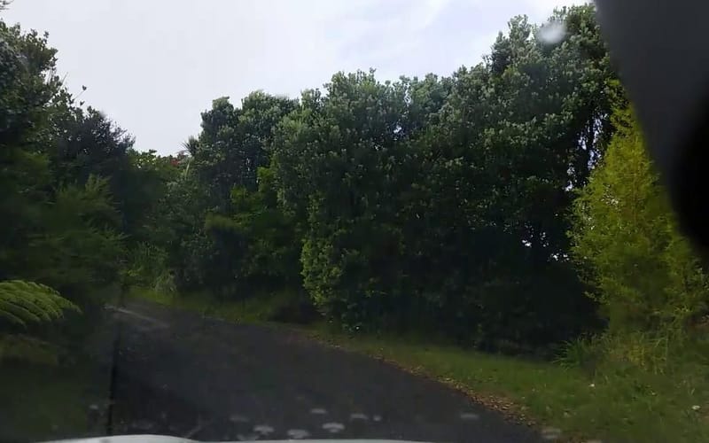 252 Anawhata Road