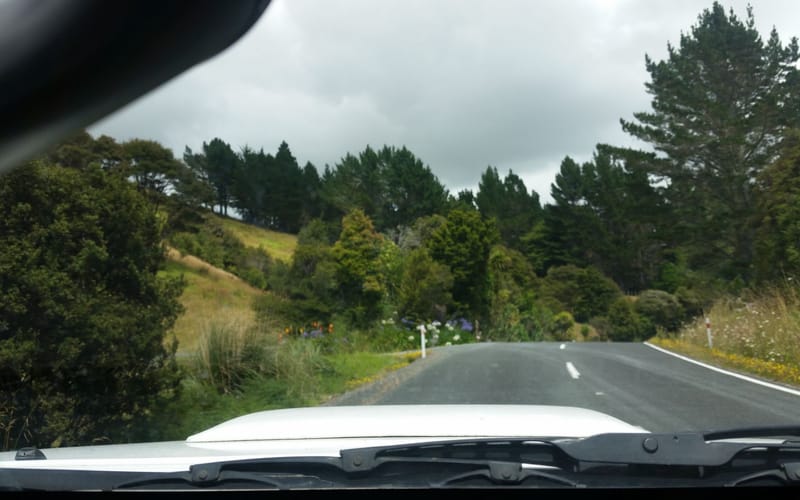 445 Whakapirau Road
