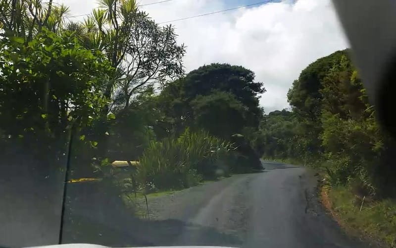 81 Anawhata Road
